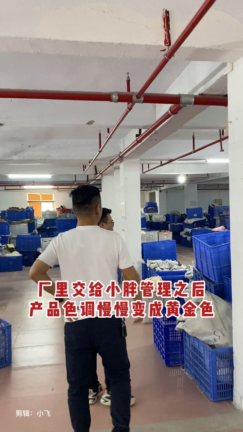 黃金時代 小胖的品牌色彩革命與工廠轉(zhuǎn)型記