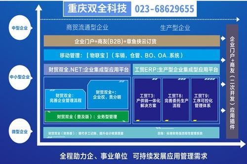 彭水生產(chǎn)型企業(yè)管理制度優(yōu)化與重慶管家婆軟件二次開(kāi)發(fā)實(shí)踐